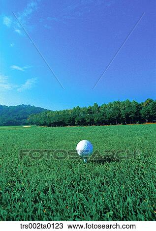 outdoor, daylight, golf, golf ball, leisure, sports, golf links View Large Photo Image Stock Image - outdoor, daylight, golf, golf ball, leisure, sports, golf links. Fotosearch