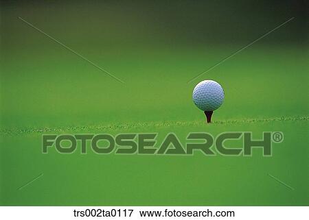 outdoor, daylight, golf, golf ball, leisure, sports, golf links View Large Photo Image Stock Photo - outdoor, daylight, golf, golf ball, leisure, sports, golf links. Fotosearch