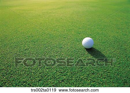 outdoor, daylight, golf, golf ball, leisure, sports, golf links View Large Photo Image Stock Photo - outdoor, daylight, golf, golf ball, leisure, sports, golf links. Fotosearch