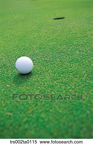outdoor, daylight, golf, golf ball, leisure, sports, golf links View Large Photo Image Stock Photography - outdoor, daylight, golf, golf ball, leisure, sports, golf links. Fotosearch