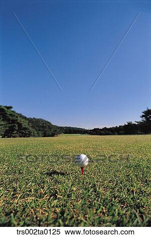 Stock Photography - outdoor, daylight, golf, golf ball, leisure, sports, golf links. Fotosearch
