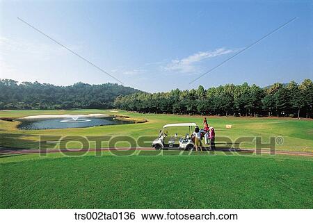 person, many person, woman, outdoor, daylight, golf View Large Photo Image Stock Photograph - person, many person, woman, outdoor, daylight, golf. Fotosearch