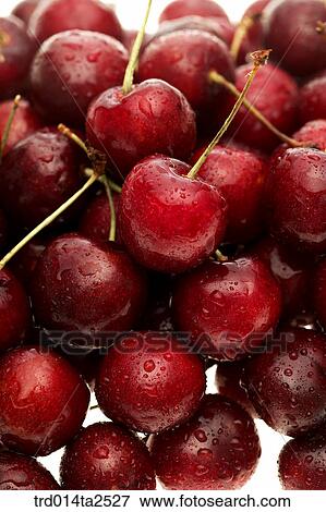 Stock Photo - food, fruit, cherry, background, close up. Fotosearch