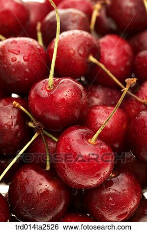 Stock Photograph - food, fruit, cherry, background, close up. Fotosearch