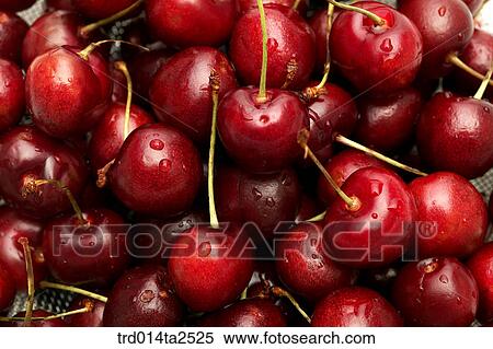 Stock Photography - food, fruit, cherry, background, close up. Fotosearch