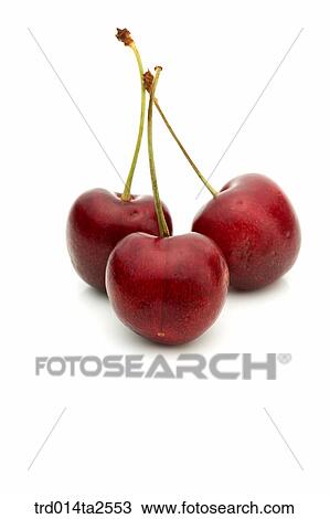 food, fruit, cherry, close up, object View Large Photo Image Stock Image - food, fruit, cherry, close up, object. Fotosearch