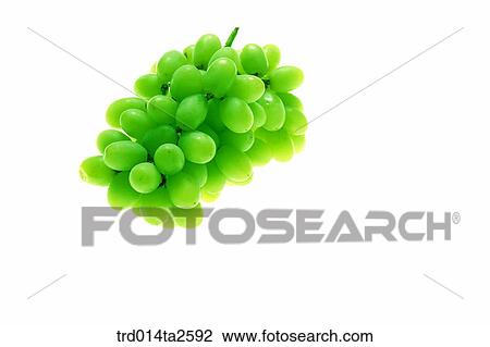 food, fruit, grapes, a cluster, object, avocado View Large Photo Image Stock Image - food, fruit, grapes, a cluster, object, avocado. Fotosearch