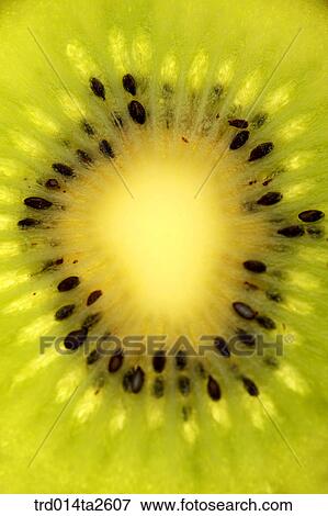 food, fruit, kiwi, background, close up View Large Photo Image Stock Photo - food, fruit, kiwi, background, close up. Fotosearch