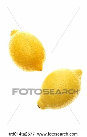 Stock Photo - food, fruit, lemon, object, close up. Fotosearch