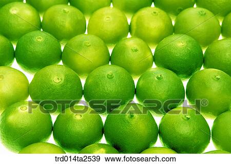 food, fruit, lime, background, arrangement, close up View Large Photo Image Stock Photo - food, fruit, lime, background, arrangement, close up. Fotosearch