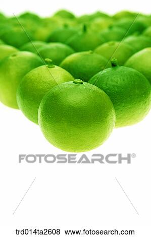 food, fruit, lime, background, arrangement, close up View Large Photo Image Stock Photo - food, fruit, lime, background, arrangement, close up. Fotosearch