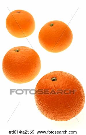 Stock Photo - food, fruit, orange, background, arrangement, close up. Fotosearch