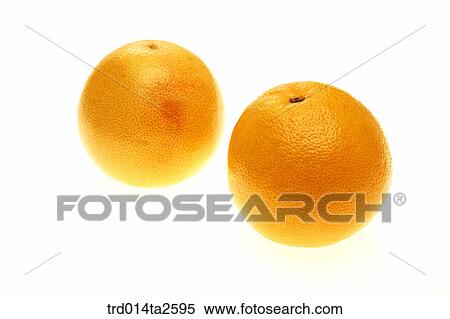Stock Photography - food, fruit, orange, object, close up. Fotosearch