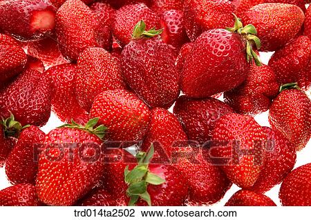 food, fruit, strawberry, background, close up View Large Photo Image Stock Image - food, fruit, strawberry, background, close up. Fotosearch