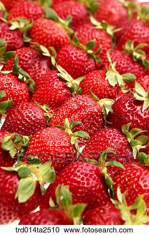 food, fruit, strawberry, background, close up, arrangement View Large Photo Image Stock Image - food, fruit, strawberry, background, close up, arrangement. Fotosearch