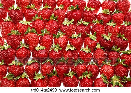 food, fruit, strawberry, background, close up View Large Photo Image Stock Photo - food, fruit, strawberry, background, close up. Fotosearch