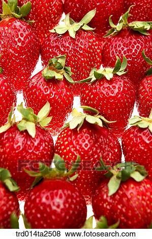 food, fruit, strawberry, background, close up View Large Photo Image Stock Photo - food, fruit, strawberry, background, close up. Fotosearch