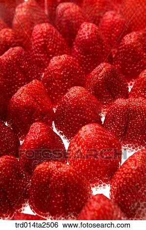 food, fruit, strawberry, background, close up View Large Photo Image Stock Photograph - food, fruit, strawberry, background, close up. Fotosearch