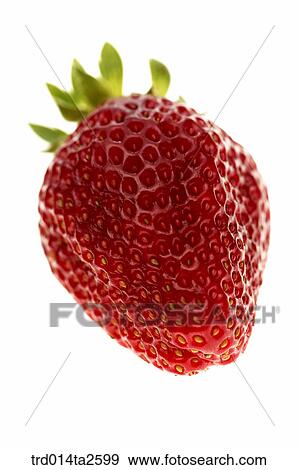 food, fruit, strawberry, close up, object View Large Photo Image Stock Photo - food, fruit, strawberry, close up, object. Fotosearch
