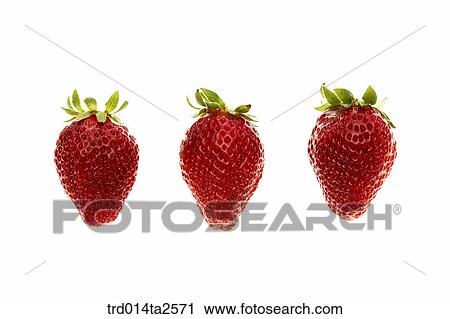 food, fruit, strawberry, object, close up, arrangement View Large Photo Image Stock Image - food, fruit, strawberry, object, close up, arrangement. Fotosearch