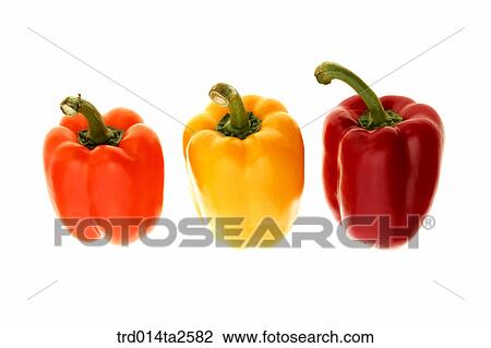 food, vegetables, sweet pepper, paprika, arrangement, object, close up View Large Photo Image Stock Image - food, vegetables, sweet pepper, paprika, arrangement, object, close up. Fotosearch