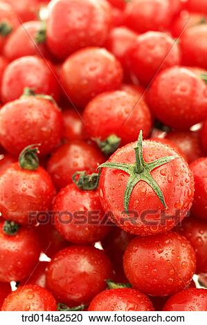 food, vegetables, tomato, arrangement, background, close up, cherry tomato View Large Photo Image Stock Image - food, vegetables, tomato, arrangement, background, close up, cherry tomato. Fotosearch
