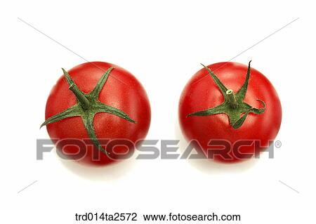 food, vegetables, tomato, arrangement, object, close up View Large Photo Image Stock Image - food, vegetables, tomato, arrangement, object, close up. Fotosearch