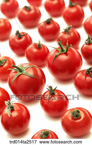 food, vegetables, tomato, arrangement, background, close up, cherry tomato View Large Photo Image Stock Photo - food, vegetables, tomato, arrangement, background, close up, cherry tomato. Fotosearch