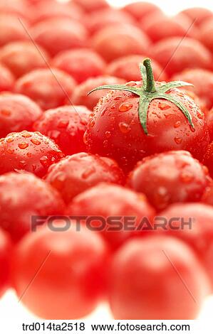 food, vegetables, tomato, arrangement, background, close up, cherry tomato View Large Photo Image Stock Photo - food, vegetables, tomato, arrangement, background, close up, cherry tomato. Fotosearch