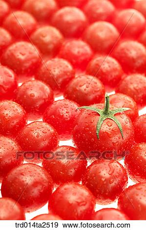 food, vegetables, tomato, arrangement, background, close up, cherry tomato View Large Photo Image Stock Photo - food, vegetables, tomato, arrangement, background, close up, cherry tomato. Fotosearch