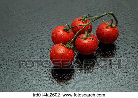 Stock Image - food, vegetables, tomato, close up, background, branch, branches. Fotosearch
