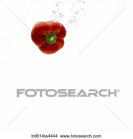 A green pepper in water View Large Photo Image Picture - A green pepper in water. Fotosearch