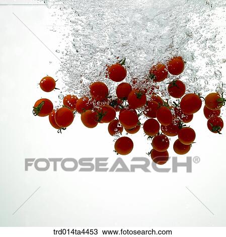Tomatoes in water View Large Photo Image Stock Image - Tomatoes in water. Fotosearch