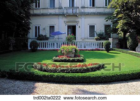 Grass and flowers, Austria View Large Photo Image Stock Image - Grass and flowers, Austria. Fotosearch