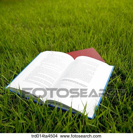 A book and a notebook on the grass View Large Photo Image Picture - A book and a notebook on the grass. Fotosearch