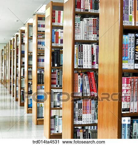 A bookshelf and books in the library View Large Photo Image Stock Image - A bookshelf and books in the library. Fotosearch