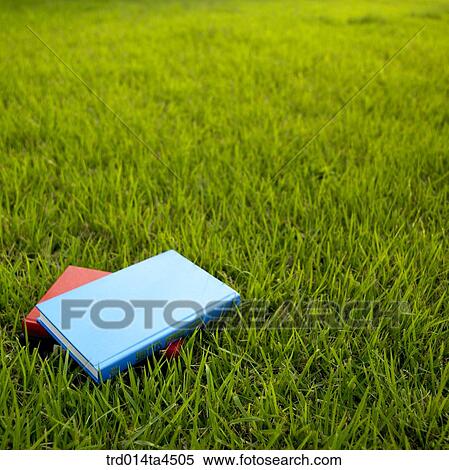 Two books on the grass View Large Photo Image Stock Photography - Two books on the grass. Fotosearch