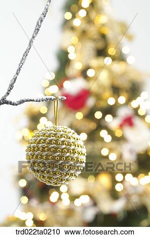 Christmas stuff, View Large Photo Image Stock Image - Christmas stuff,. Fotosearch