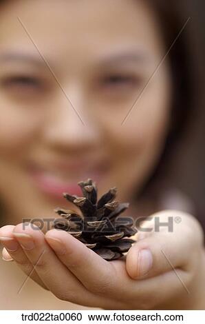 A hand with pine cone View Large Photo Image Stock Image - A hand with pine cone. Fotosearch