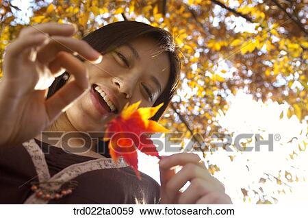 A lying woman holding a maple leaf View Large Photo Image Stock Photo - A lying woman holding a maple leaf. Fotosearch