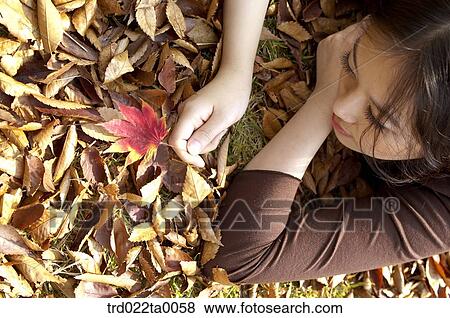 A procumbent woman holding a maple leaf View Large Photo Image Stock Photo - A procumbent woman holding a maple leaf. Fotosearch