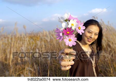 Picture - A woman holding a cosmos. Fotosearch