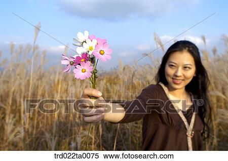 Stock Photography - A woman holding a cosmos. Fotosearch