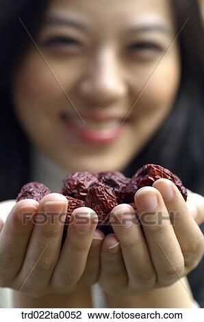 A woman holding a handful of Jujube View Large Photo Image Stock Image - A woman holding a handful of Jujube. Fotosearch