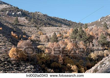 Stock Image - Autumn landscape. Fotosearch
