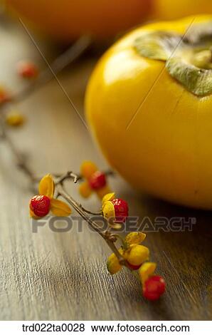 Stock Photo - Persimmon. Fotosearch