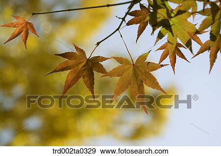 Stock Photo - Stone stairs. Fotosearch