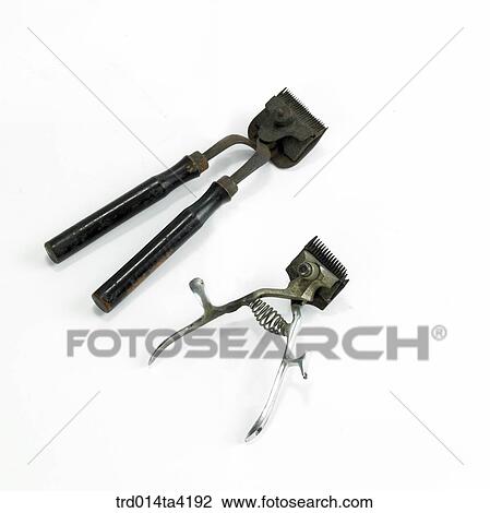 Stock Image - hair-clipper, object, antique, living article, tool, instrument, two. Fotosearch