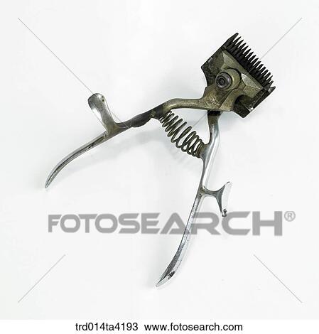 Stock Image - hair-clipper, object, antique, living article, tool, instrument, one. Fotosearch