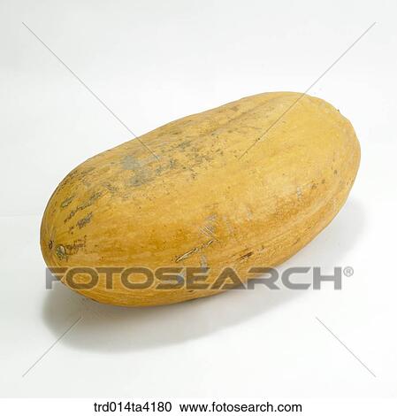 vegetable, food, pumpkin, one, object View Large Photo Image Stock Image - vegetable, food, pumpkin, one, object. Fotosearch